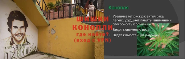 гидра Волосово