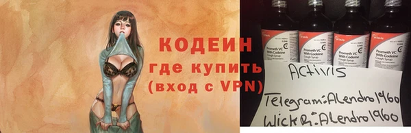 шишки Верхний Тагил