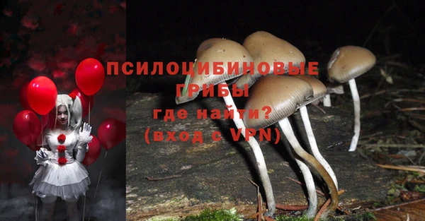 тгк Волоколамск